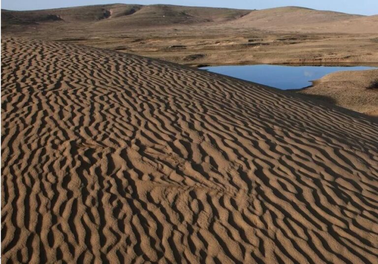 Día Internacional contra la Desertificación